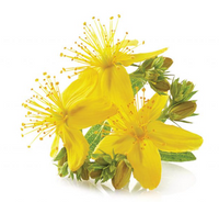 St. John's Wort