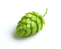 Hops